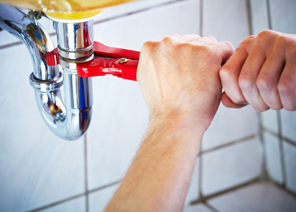About Seligman Plumbers